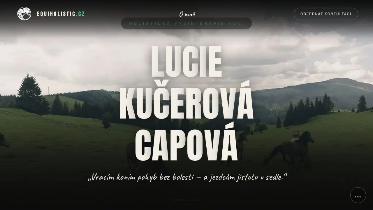 Actual public website preview of Equiholistic